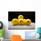 Smiley Faces Group Wall Mural