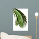 Leaves Palm Tree