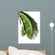 Leaves Palm Tree