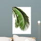 Leaves Palm Tree