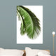 Leaves Palm Tree