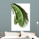 Leaves Palm Tree