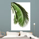 Leaves Palm Tree