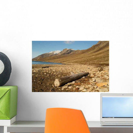 Starnd Svalbard Beach Svalbard Wall Decal Design 2