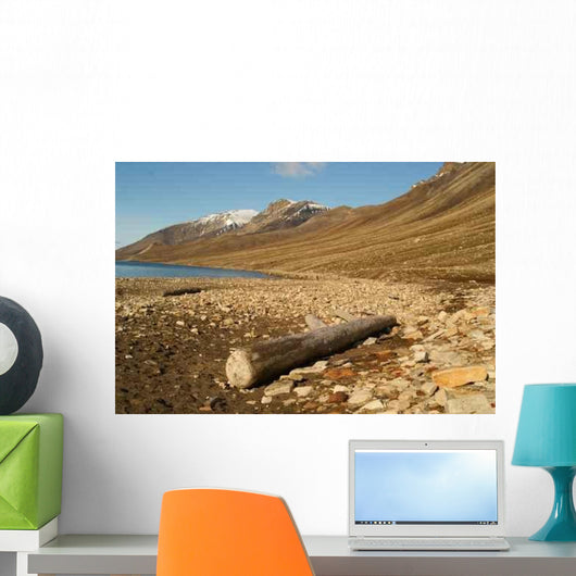 Starnd Svalbard Beach Svalbard Wall Decal Design 2