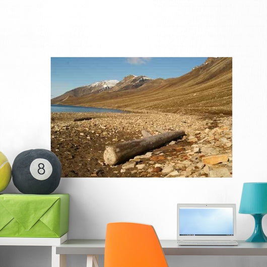 Starnd Svalbard Beach Svalbard Wall Decal Design 2