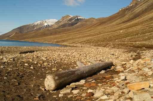 Starnd Svalbard Beach Svalbard Wall Decal Design 2