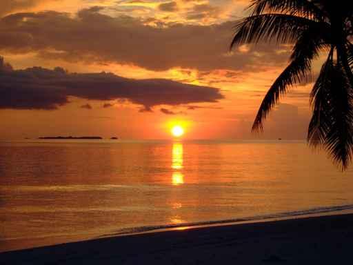 Sunrise2 Wall Decal