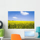 Rapeseed Field with Sky Wall Decal