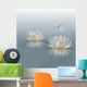 Water Lily Background Wall Mural