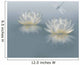Water Lily Background Wall Mural