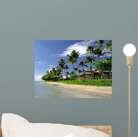 Maui Hawaii Wall Mural