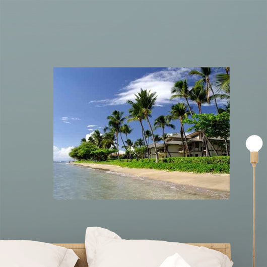 Maui Hawaii Wall Mural