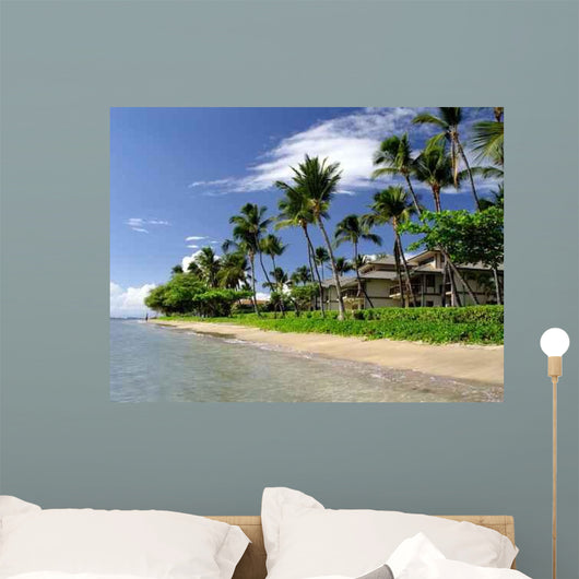 Maui Hawaii Wall Mural