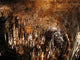 Aven Armand Wall Decal