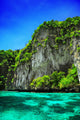 Landscape Wall Mural