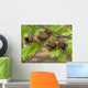 Forest Wall Decal Design 4