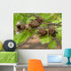 Forest Wall Decal Design 4