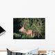Red Deer Wall Mural