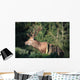 Red Deer Wall Mural