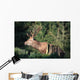 Red Deer Wall Mural