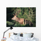 Red Deer Wall Mural