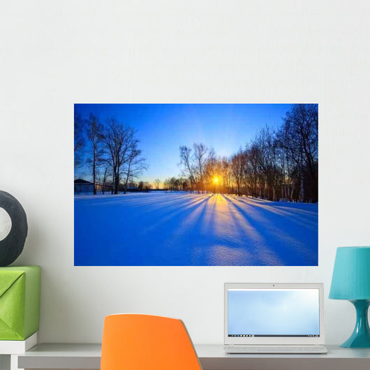 Beautiful Sunset Winter Forest Wall Decal