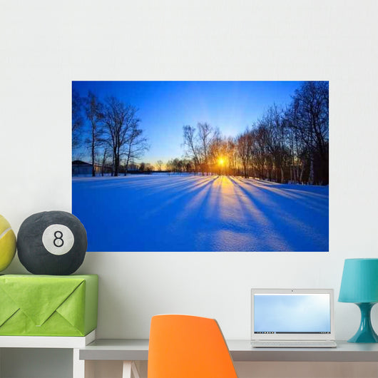 Beautiful Sunset Winter Forest Wall Decal