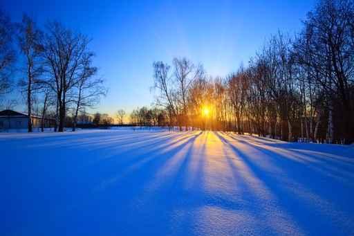 Beautiful Sunset Winter Forest Wall Decal