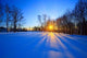 Beautiful Sunset Winter Forest Wall Decal