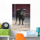 Fighting bull Wall Mural