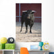 Fighting bull Wall Mural