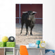 Fighting bull Wall Mural