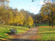Green Park London Wall Decal