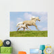 Mare and Foal Wall Mural
