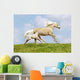 Mare and Foal Wall Mural
