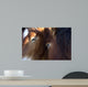 Chevaux