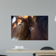 Chevaux