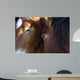 Chevaux