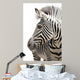 Zebra 001