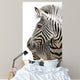 Zebra 001