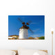 Fuerteventura Wall Mural