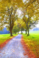 Autumn Nature Wall Decal