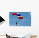 Skydiving Wall Mural