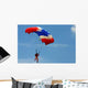 Skydiving Wall Mural
