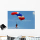 Skydiving Wall Mural