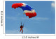 Skydiving Wall Mural