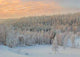 Winter's Tale Wall Decal Design 2