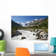 Gletscherfluss im Val Roseg Wall Decal