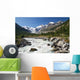 Gletscherfluss im Val Roseg Wall Decal
